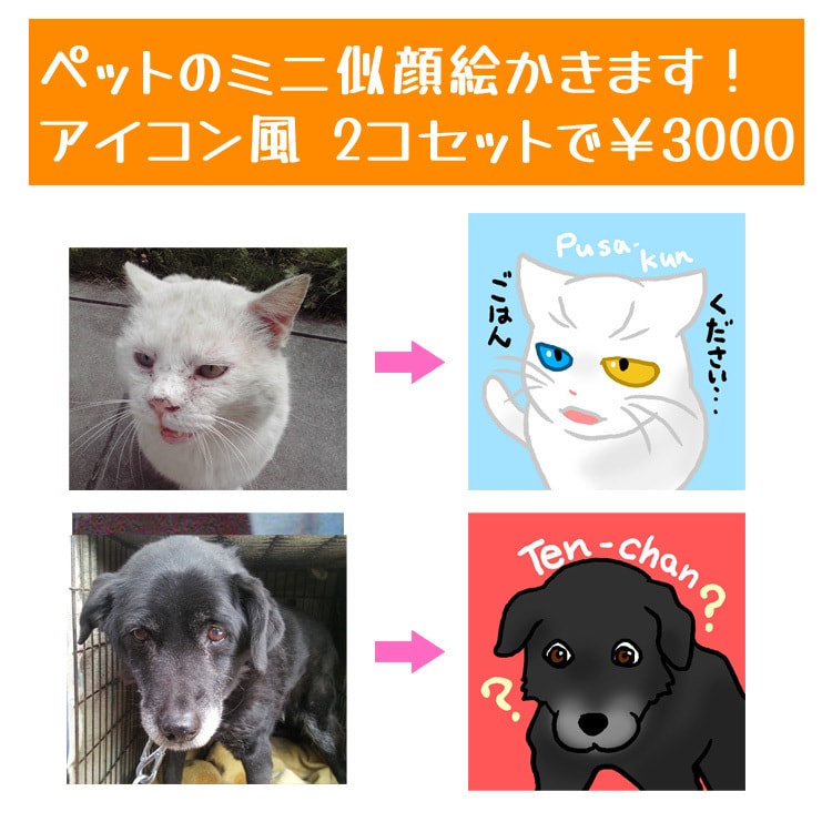 動物（ペット）のアイコン風似顔絵お描きします 特徴をつかみつつ可愛くデフォルメ！2個セット♪ イメージ10