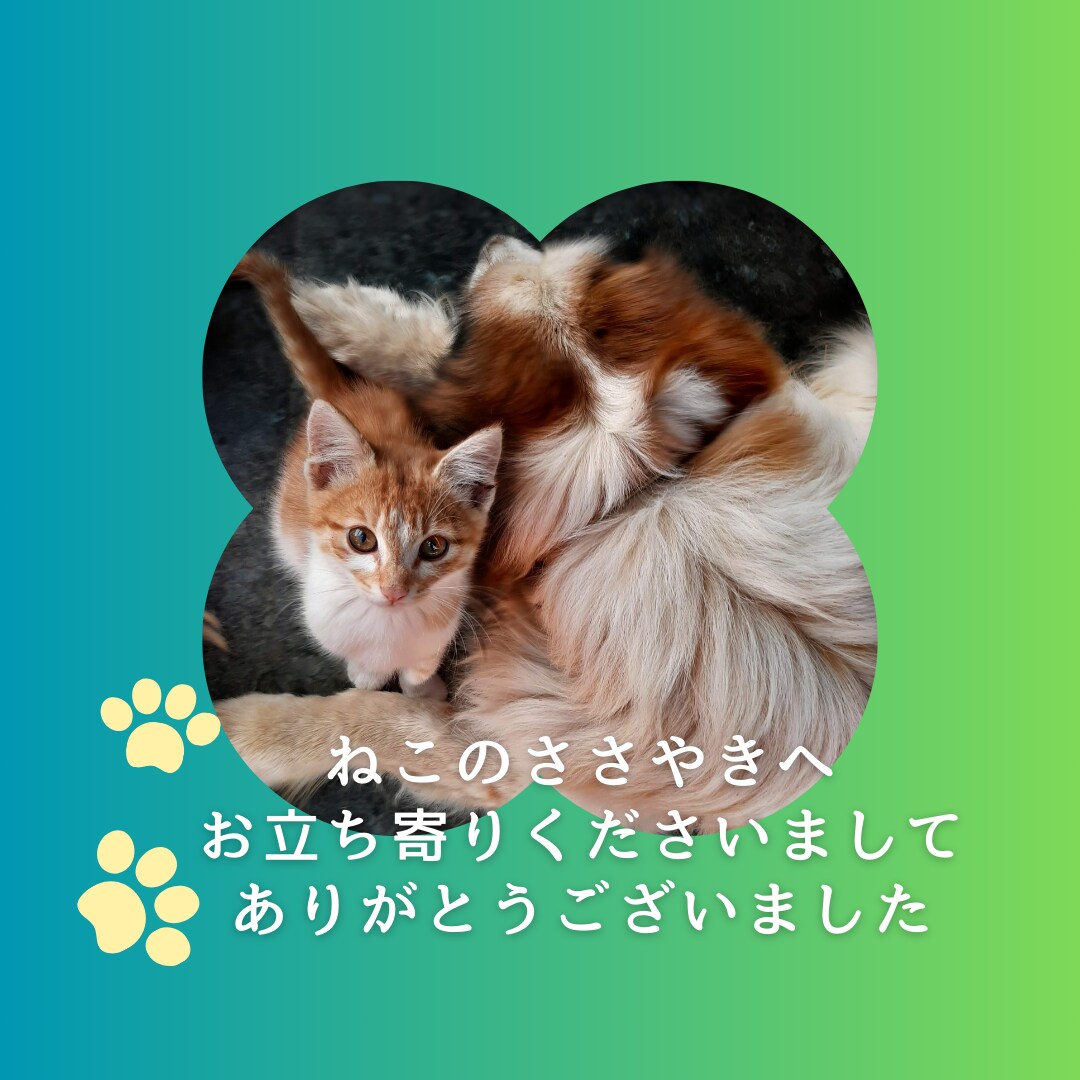 子育て♡占いで知るお子さんの気持ち才能強み伝えます 幼稚園小学生★親子兄弟や友達との関わり☆お子さん専用子育て法 イメージ10