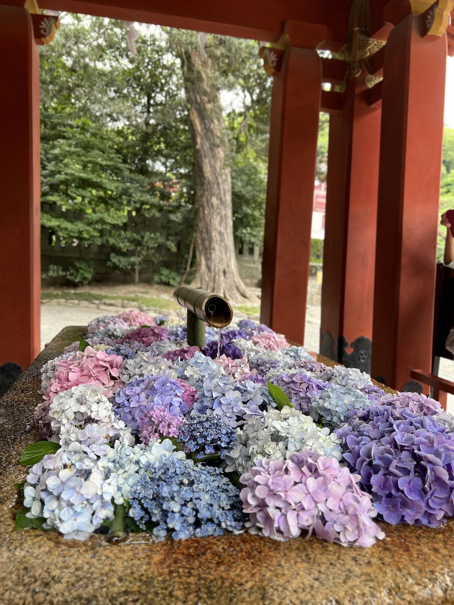 彼の気持ちMBTI×心理学で完全分析します 復縁⇨溺愛された経験者だからこそわかる分析です イメージ1