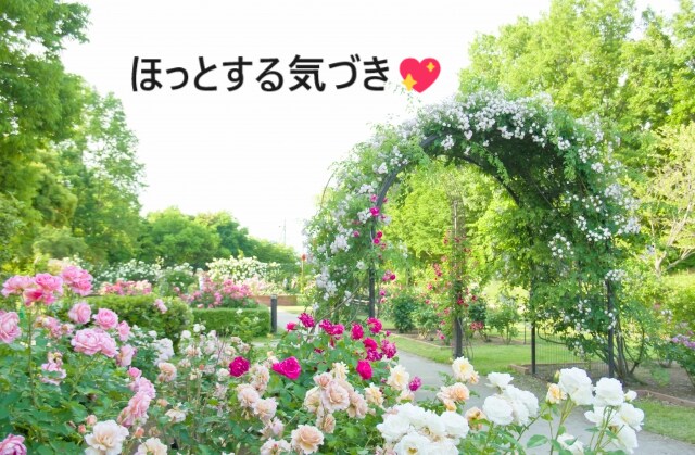 未来に向けて★ワクワクの倍増計画お手伝いいたします ３日間のチャット＆占いを通して「好き」の選択を続けましょう♪ イメージ6