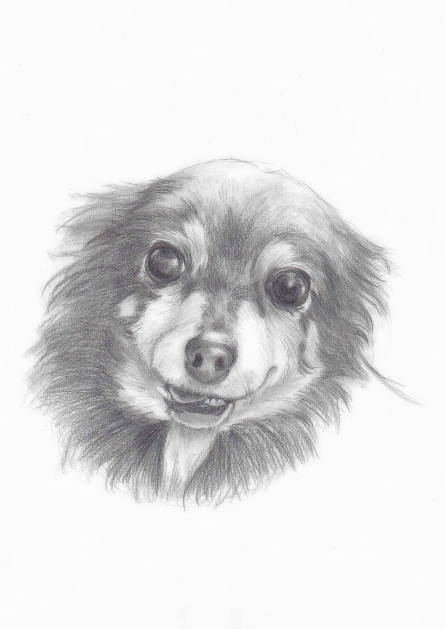 お写真をもとに鉛筆画をお描きします 大事なペットの愛すべきお顔を温かみある絵に イメージ2