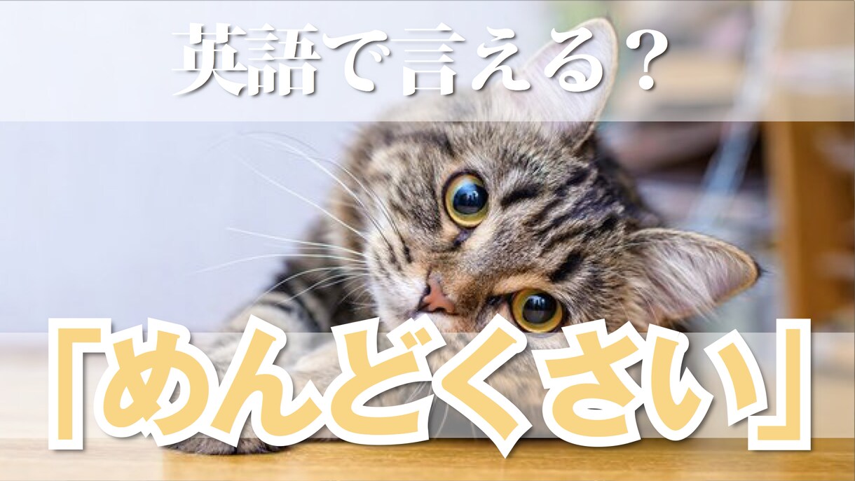 シンプルなサムネイル作ります スッキリ！オシャレなデザインをお作りします イメージ3