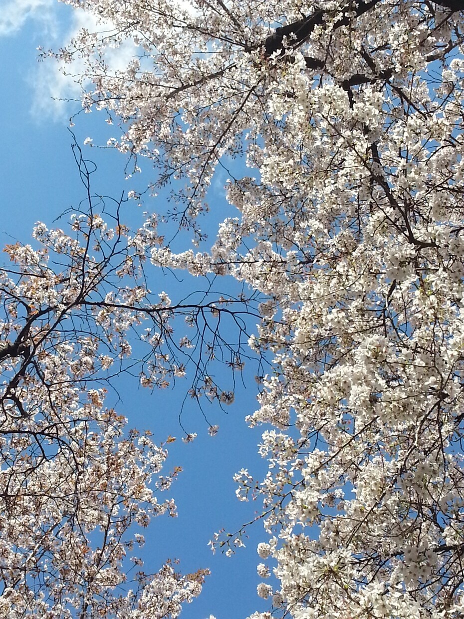 どこかに逃げ込みたくなった時のお相手します ちょっと心の休憩したい時、寄り添いながらお話お聴きします。 イメージ1