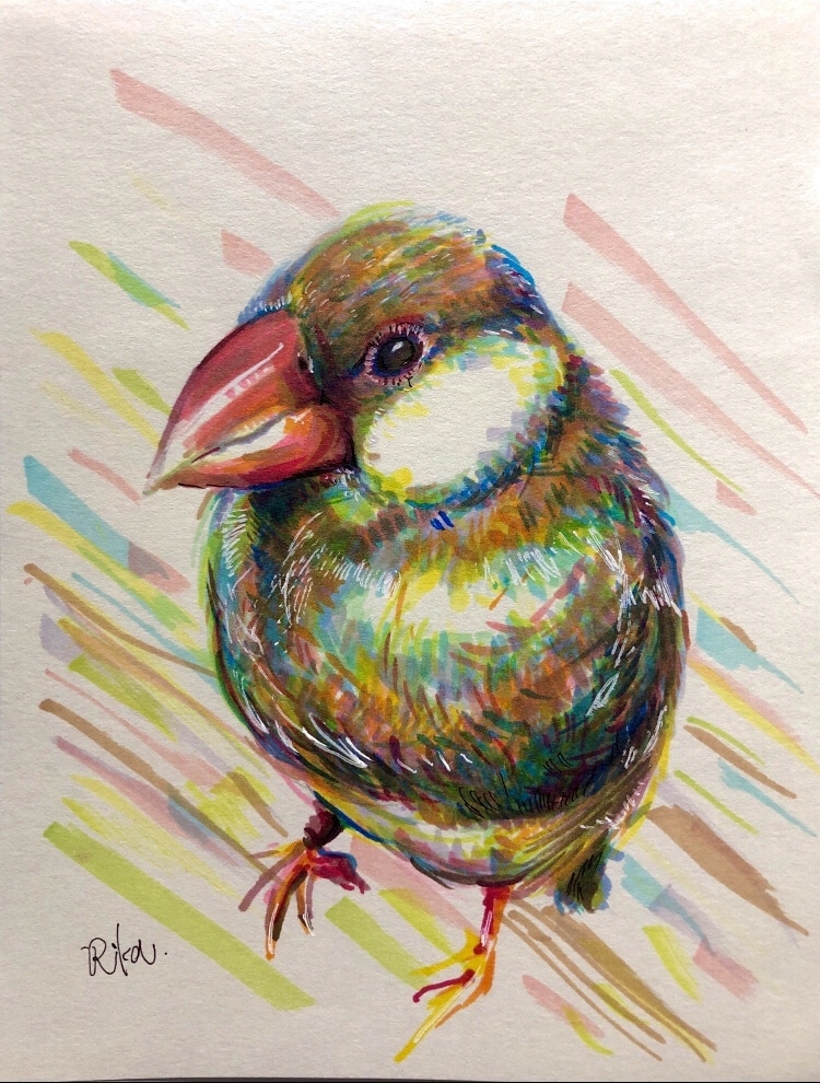 あなたの大切なペットをカラフルに描きます 【世界で一つの宝物に！】美大生が心を込めて描きます イメージ2