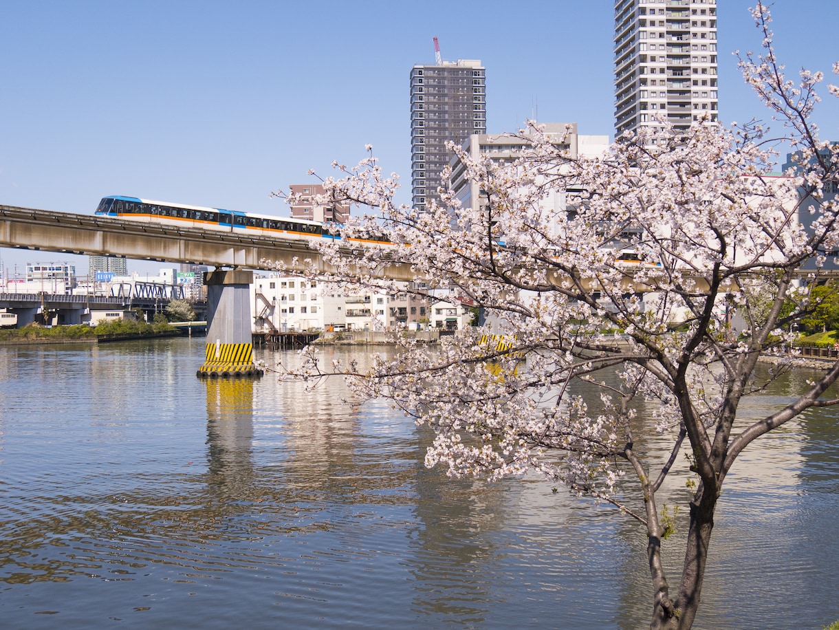 東京23区内の「今」を高解像度スナップしてきます サブスクやフリー素材ではない現在の街の画像が欲しい！ イメージ8