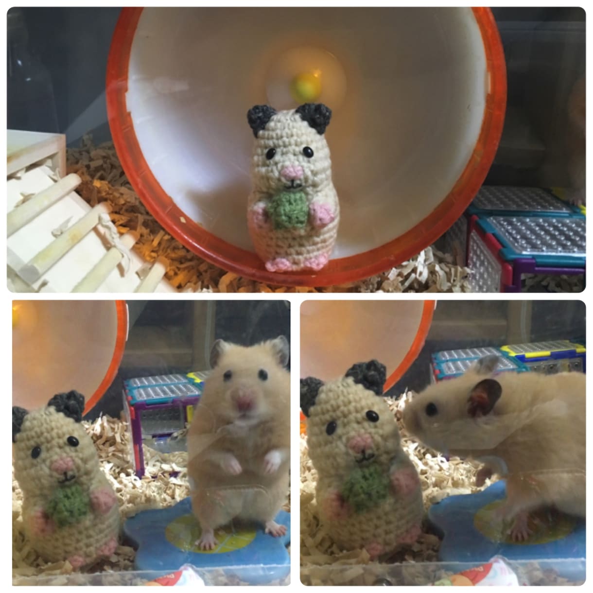ペットのお写真であみぐるみ作ります キーホルダーやストラップにも出来ます♡ イメージ5