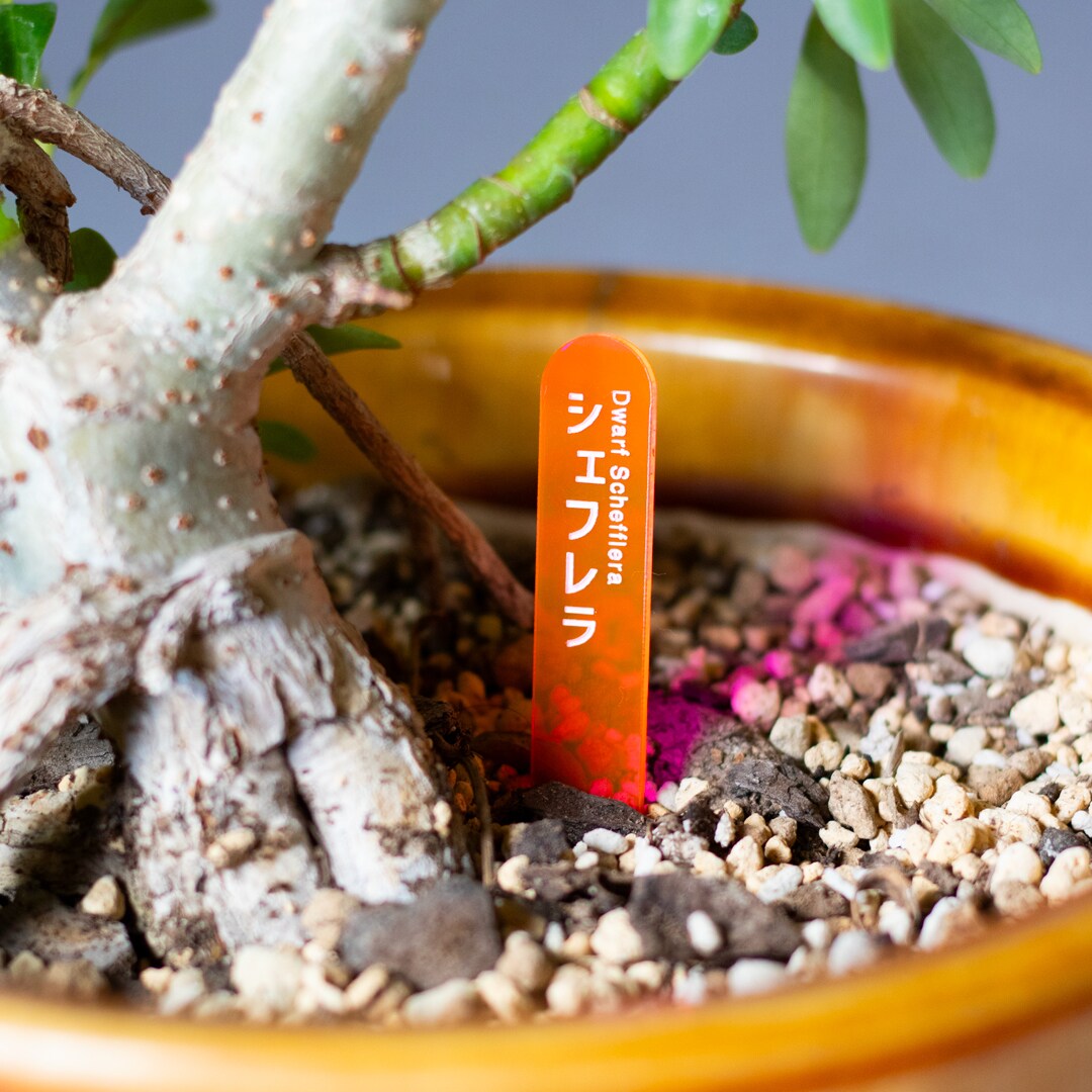 植物用ネームプレート・名札をつくります 色や形がえらべる！オリジナルデザインも対応可 イメージ1