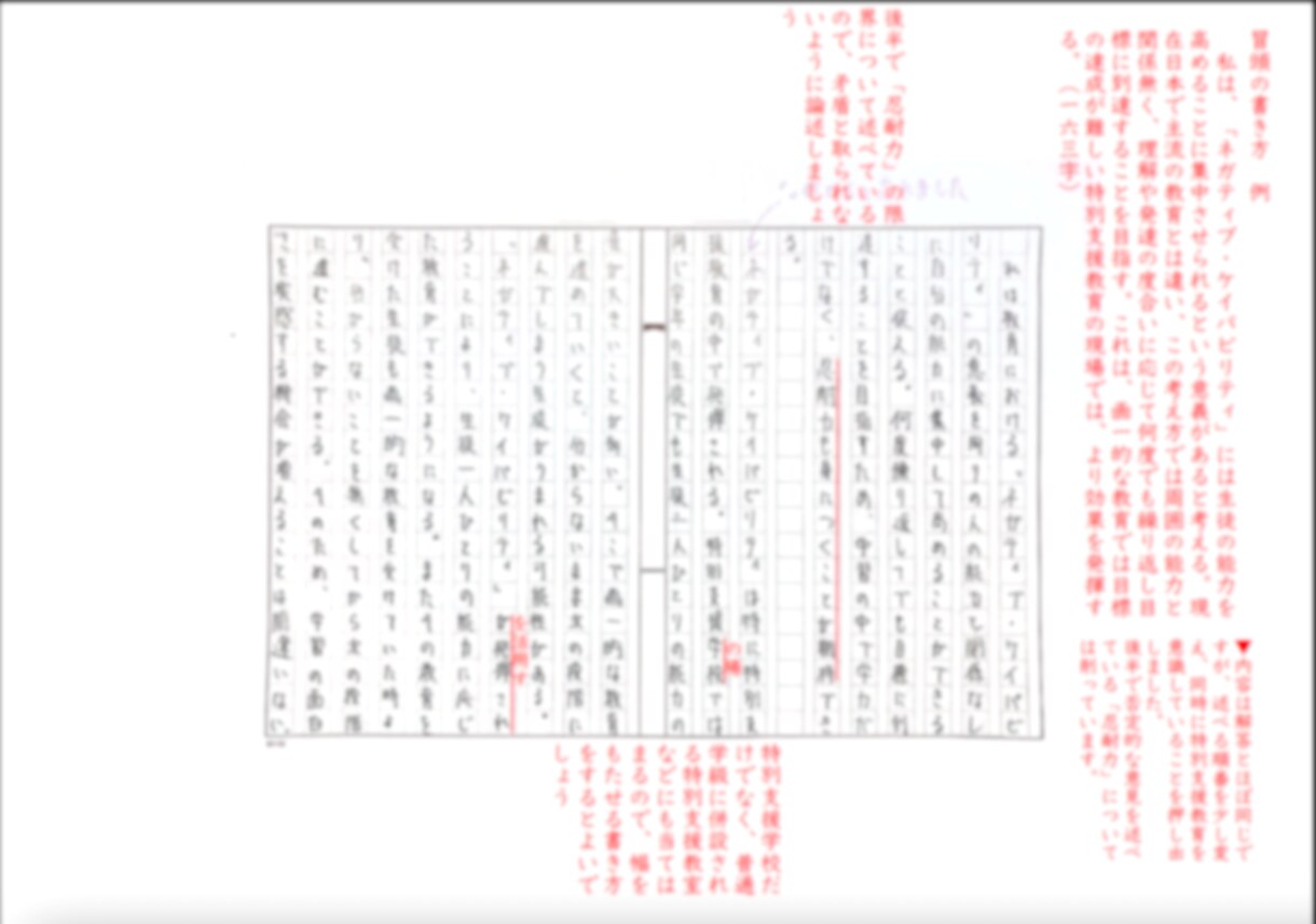 9月24日まで受付／小論文の添削指導をいたします 国立大合格者輩出！元添削官による小論文個別講座 イメージ2