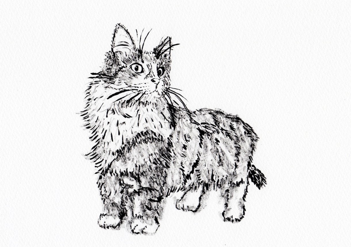 写真を元に猫の絵を墨で描きます！ イメージ1