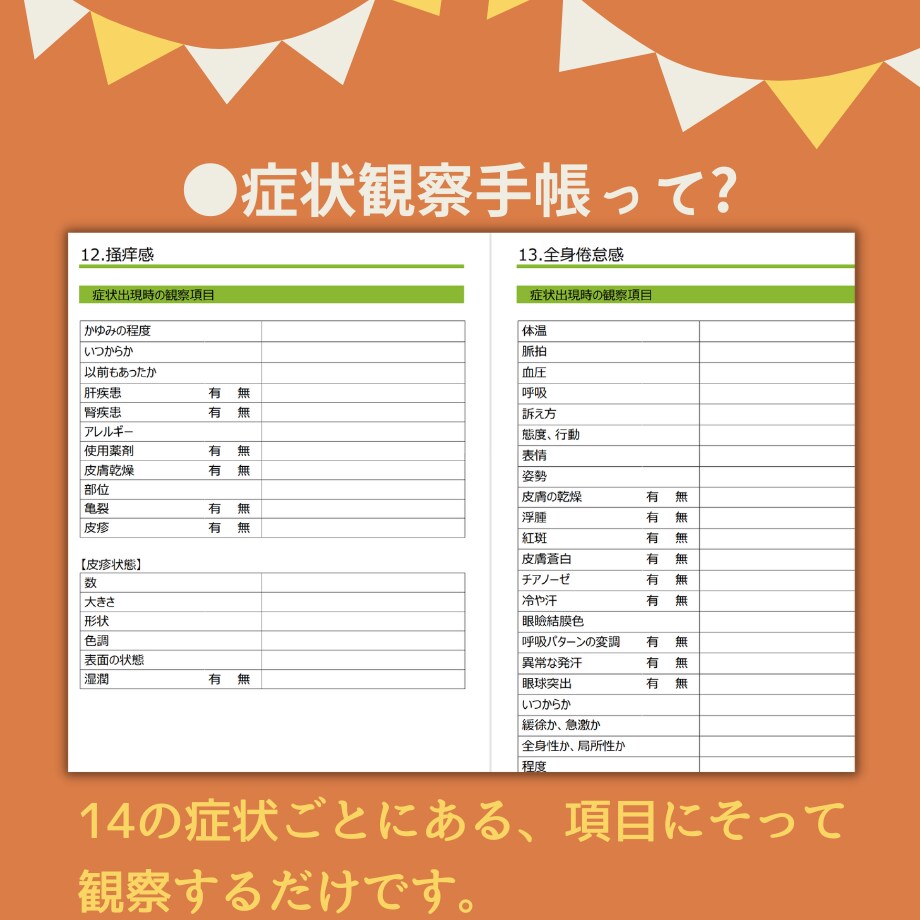 報告・発表の方法、指導者さんとの話し方など教えます ★カンファのカンペ★テーマ★様々な場面での返答★基礎実習メモ イメージ6
