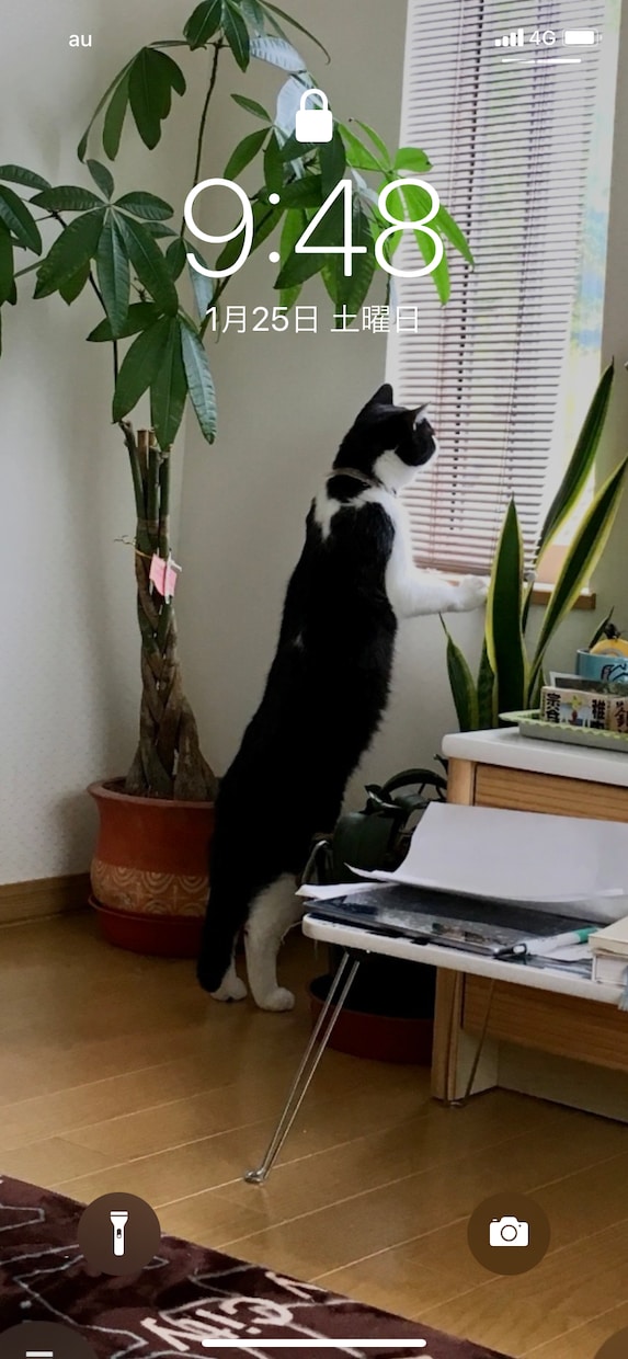 誰かと話したくなったとき相手になります 疲れたときネガティブなとき全部受け止めます！ イメージ1