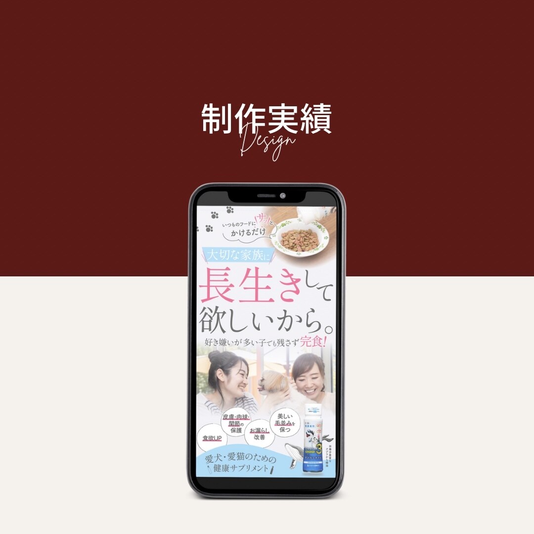 パッと見て魅力を伝えるFV・バナーを制作します 売れるに特化したセールスデザインで商品の魅力を最大限に イメージ6
