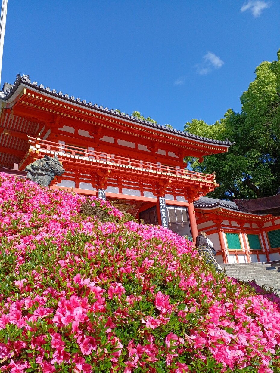 京都の四季の写真を提供します 京都の癒される四季折々の写真を！ イメージ3