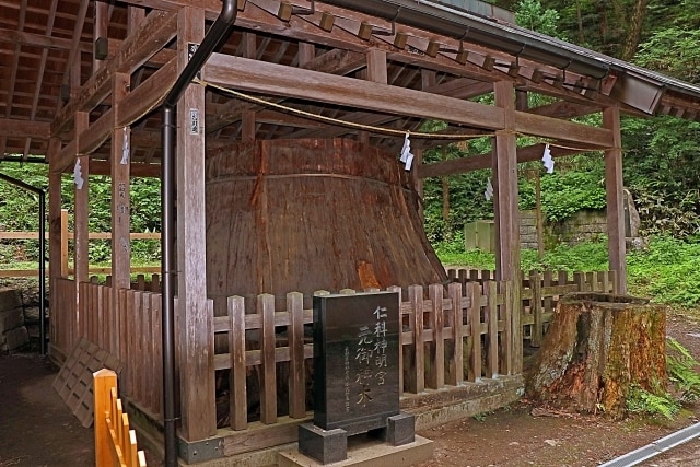 二人の未来【伊勢神宮★霊視タロット】神に聴きます ★二人の未来★神からのお告げ♡霊感・霊聴能力★霊視タロット★ イメージ8