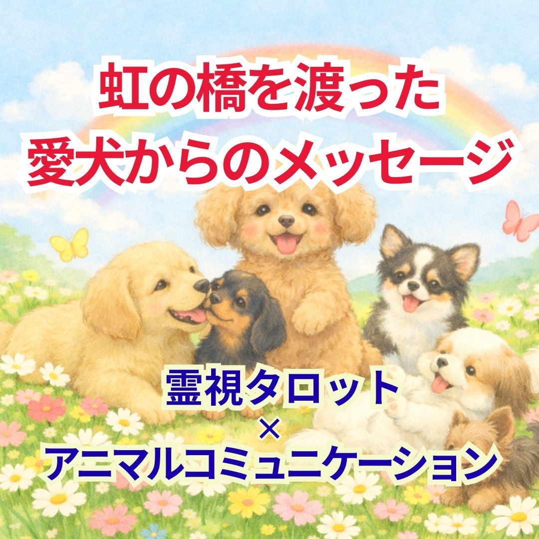 虹の橋を渡った愛犬の気持ちをタロットで鑑定します ペットロスに寄り添いお空のワンちゃんからのメッセージをお届け イメージ1