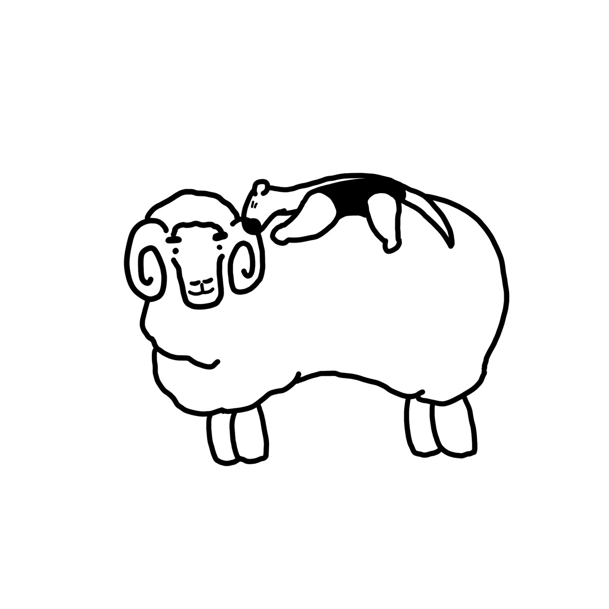 モノクロでシンプルに動物を描きます モノトーンであたたかみのあるイラスト イメージ4