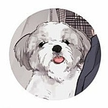 ブログやSNSがもふもふに！動物のイラスト描きます 大切なペットや好きな動物のもふもふかわいいイラストを描きます イメージ3