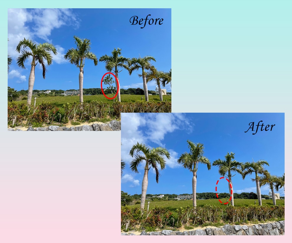 フォトショップで画像の部分消去いたします 【短納期対応】お気軽にご相談ください【1000円/4枚】 イメージ2