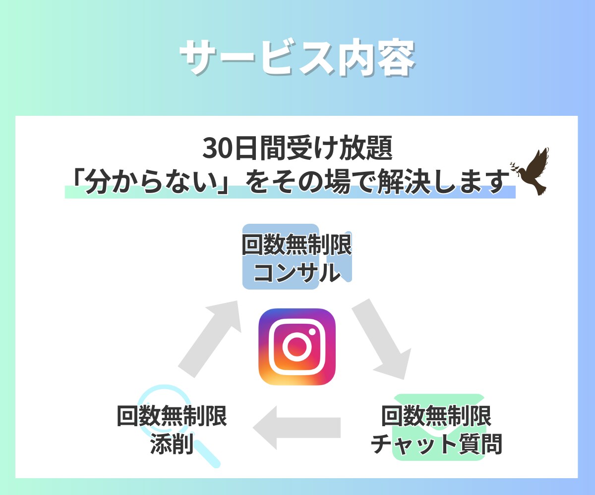 回数無制限！Instagram30日コンサルします 何度質問してもOK!あなたが夢を叶えるお手伝いを致します。 イメージ4