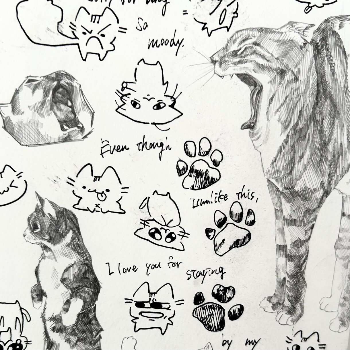 オシャレな落書き調の絵を作成します 鑑賞、インテリアへの活用で日常に差し色を！ イメージ6