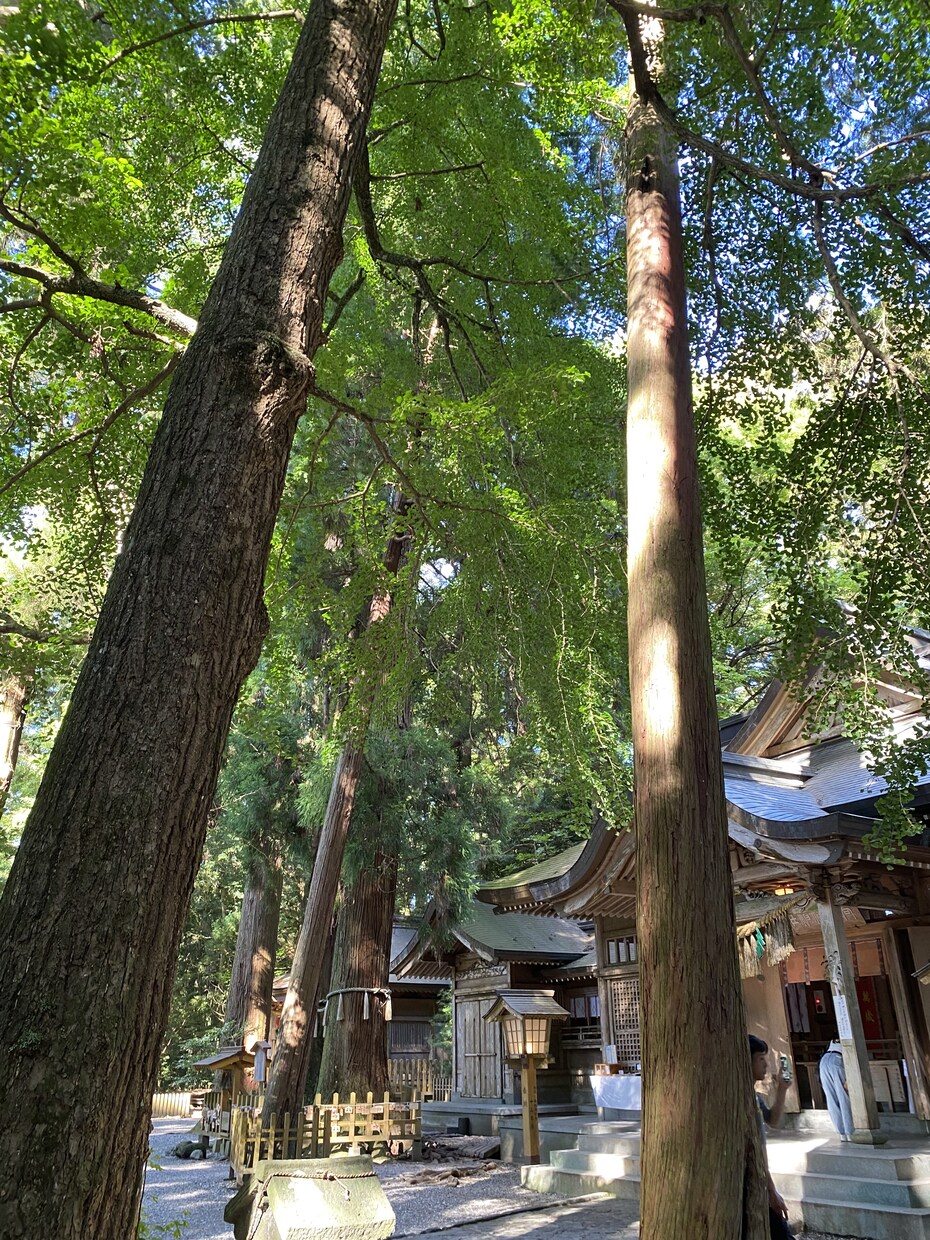 あなたを全肯定します 死にかけたことあるからこそあなたの大事さ一緒に探します イメージ2