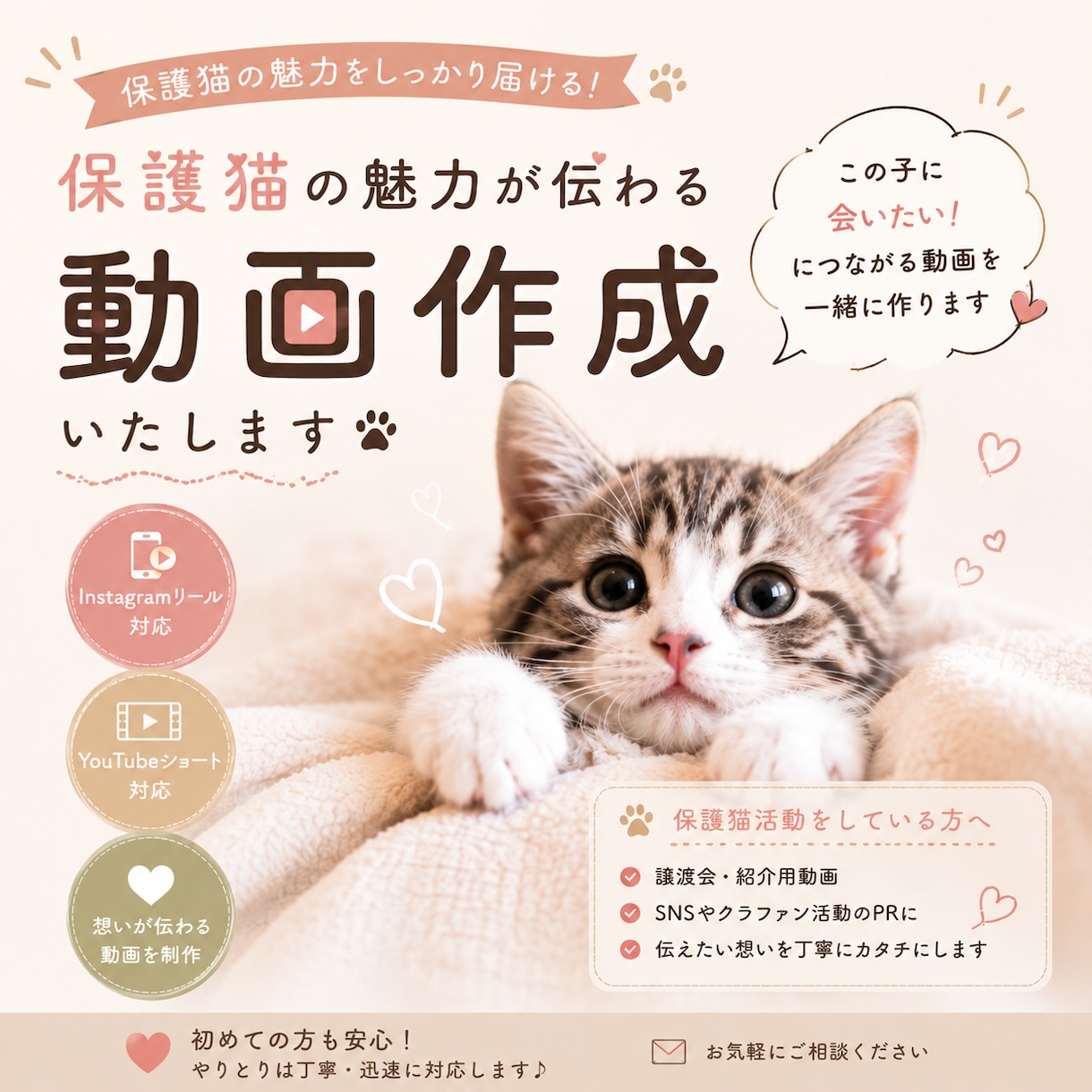 保護猫ちゃんの里親募集動画をお作りします その子の魅力と依頼主さんの想いを動画につめこみます イメージ1