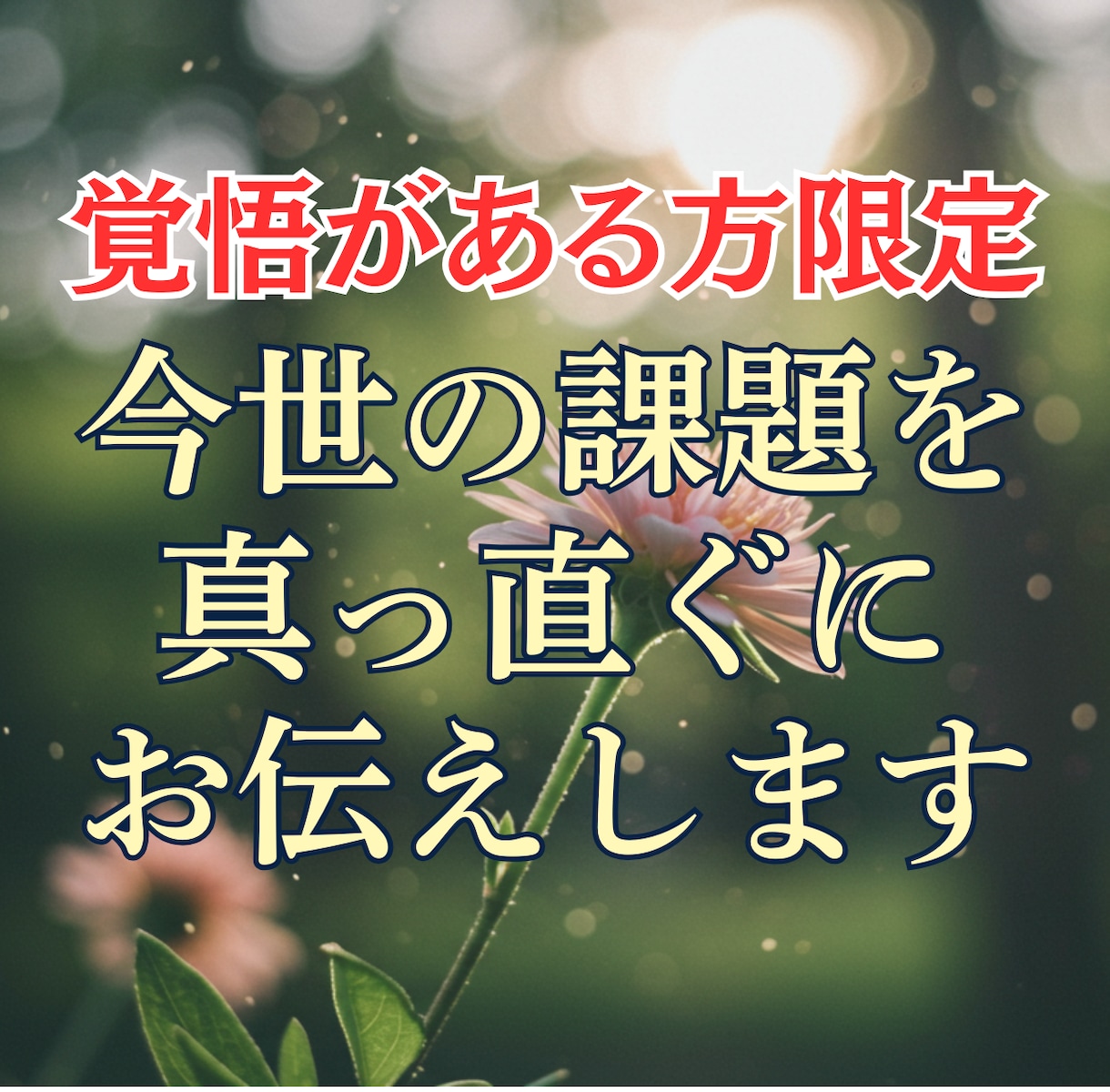 今世の課題を覚悟をもって真摯にお伝えします 耳が痛くても真実を。甘い言葉や慰めが不要な方専用 イメージ1