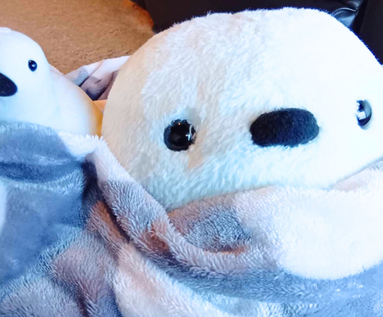 今すぐOK♥️パニック障害のお悩みを受け止めます HSP・不安障害・社交不安・うつ・適応障害・不眠症状 イメージ3