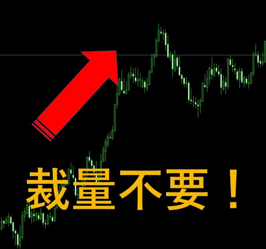 FX初心者でも無裁量でトレードできます 知識・経験は一切関係なし！シンプルなルールを繰り返すだけ！ イメージ1