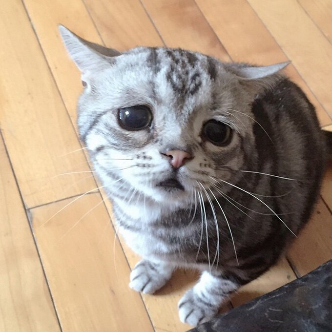 どんなお話でもお聞きします 誰かに話したい方誰かに聞いて貰いたい方 イメージ1