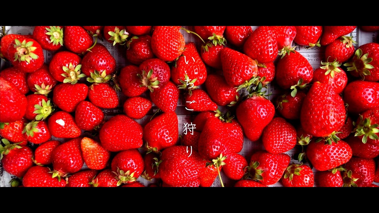 １分程度のPR（宣伝、広告）動画を作成します 映像を通して人や場所の魅力を伝えます！ イメージ2