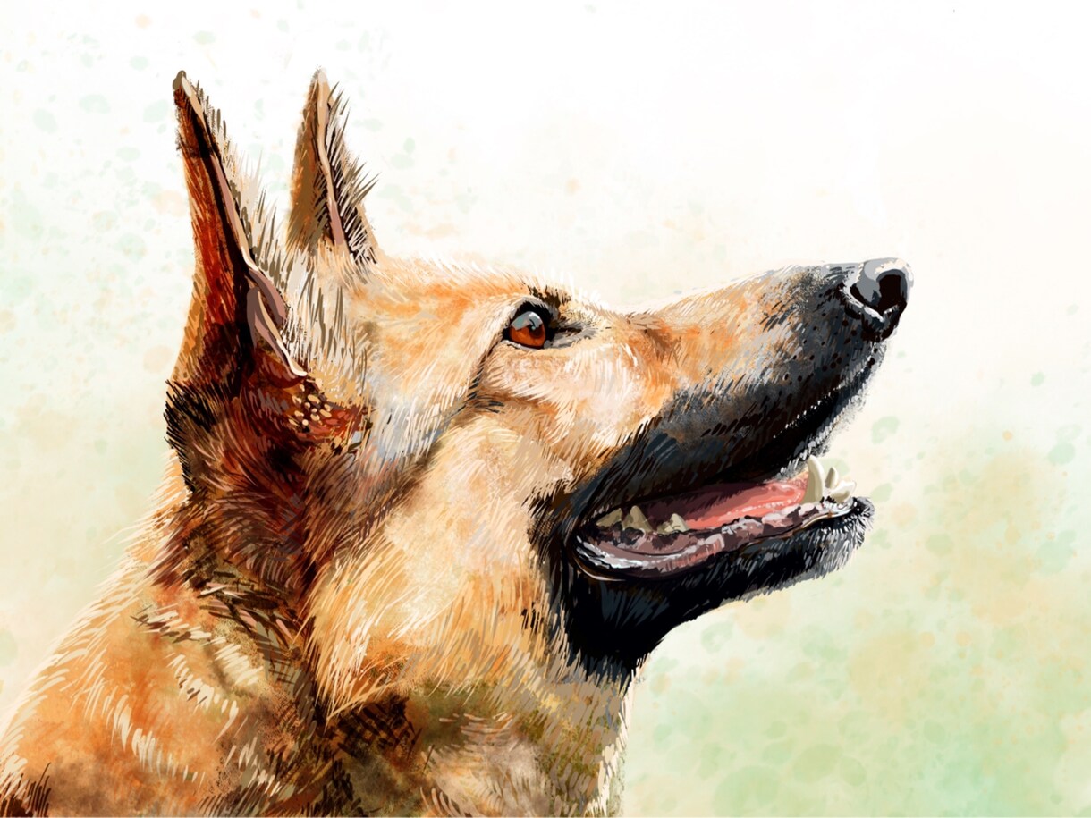 動物イラストを一つ一つ丁寧に描き上げます 自分や身近な人のペットの可愛いイラストが欲しい方へ イメージ1