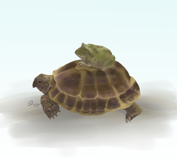 アクアリウム、犬、猫、爬虫類イラスト作成します 魚、犬、猫ほか爬虫類、両生類、虫（奇蟲ok!）、甲殻類など イメージ7