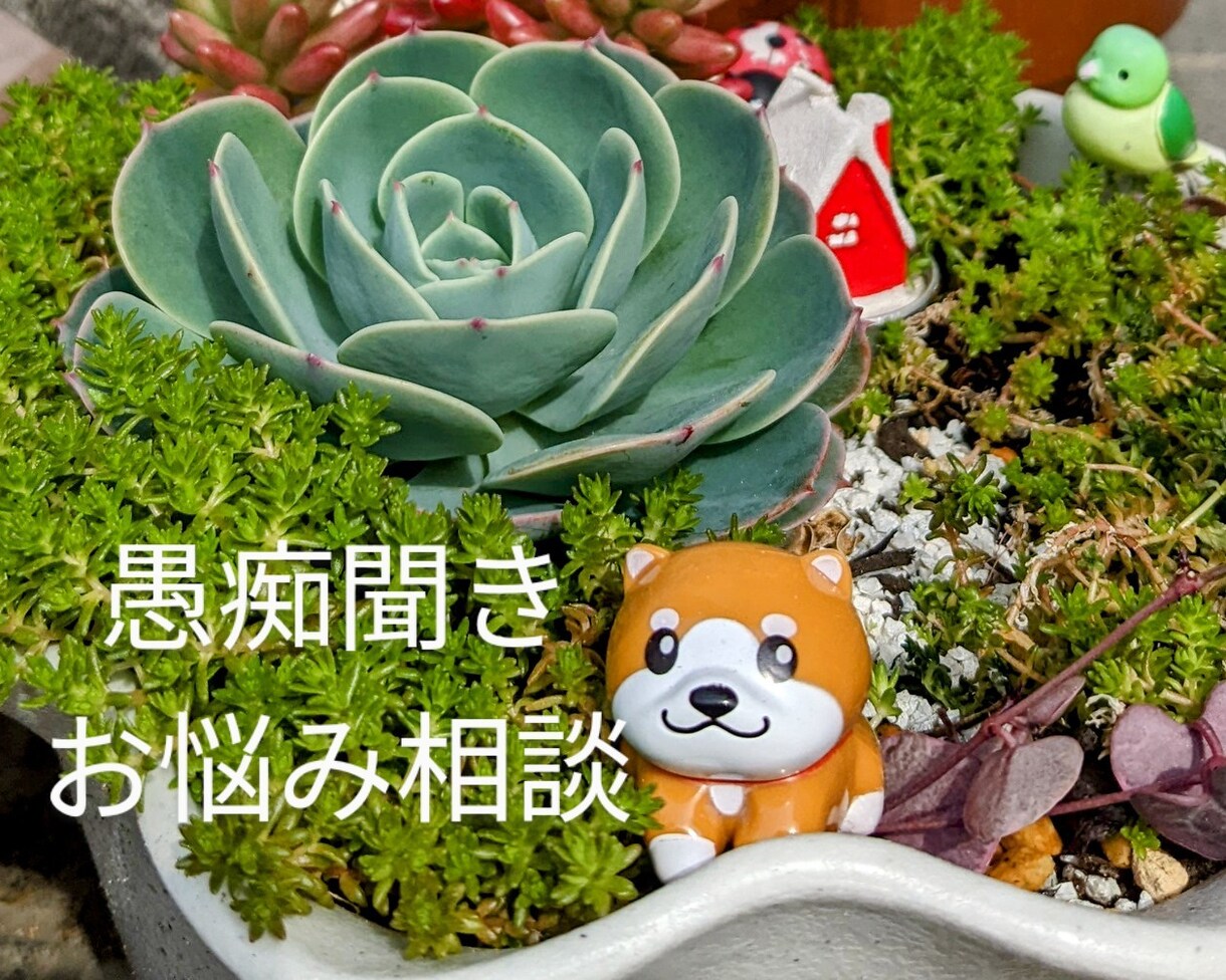 あなたの話したいを聞きます あなたの心に寄り添います(*^^*) イメージ1