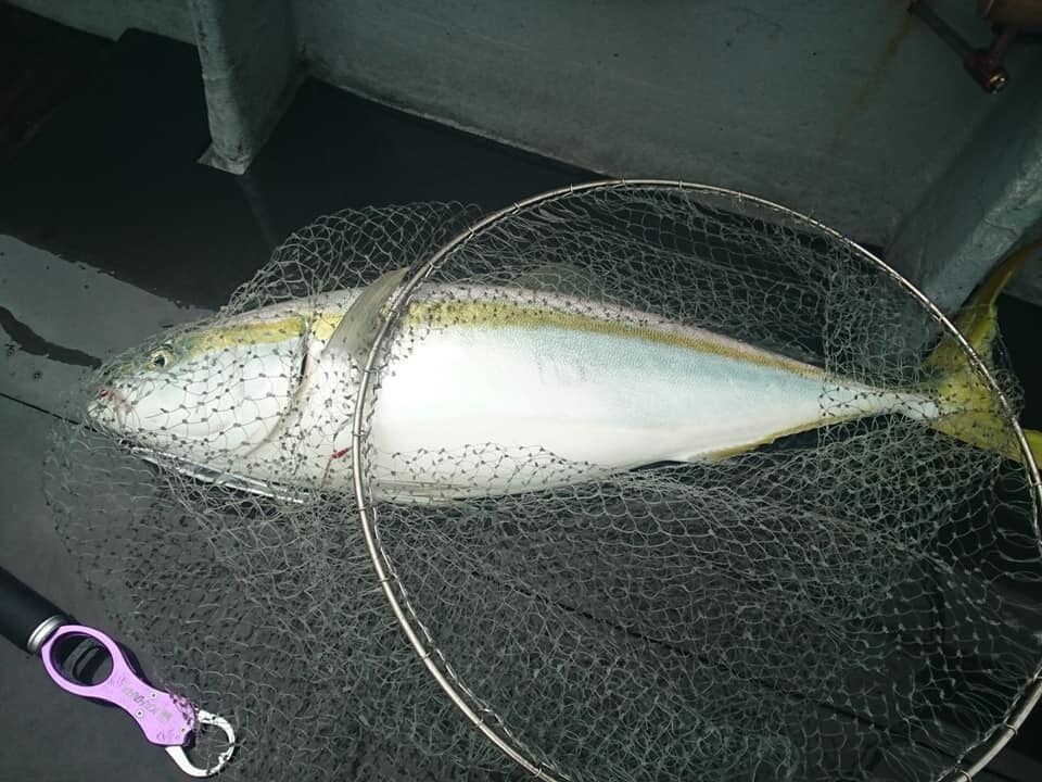 伊勢湾・御前崎・焼津での遊漁船釣り、教えます 遊漁船釣りを始めたい方をサポートします イメージ5