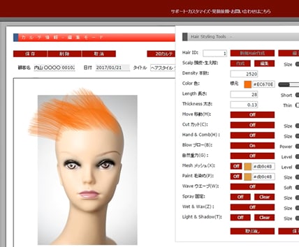 バーチャル増毛 ウィッグ ネット上で施術いたします とにかく気軽に増毛、かつら、ウィッグを試したい方へ イメージ1
