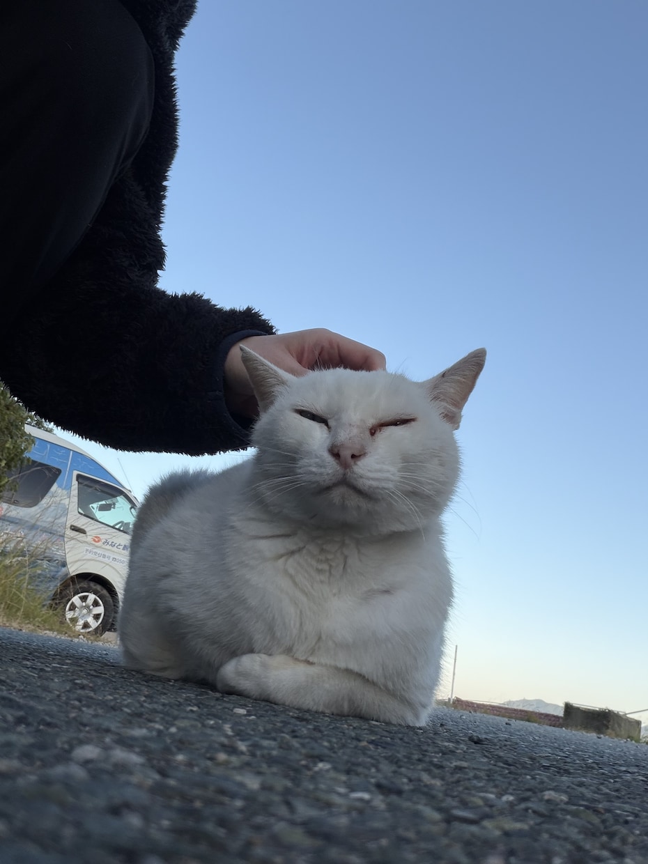 ゆる誠実な、話し相手になります 堅苦しいのは嫌、電話も苦手。。な方へ♡ イメージ2