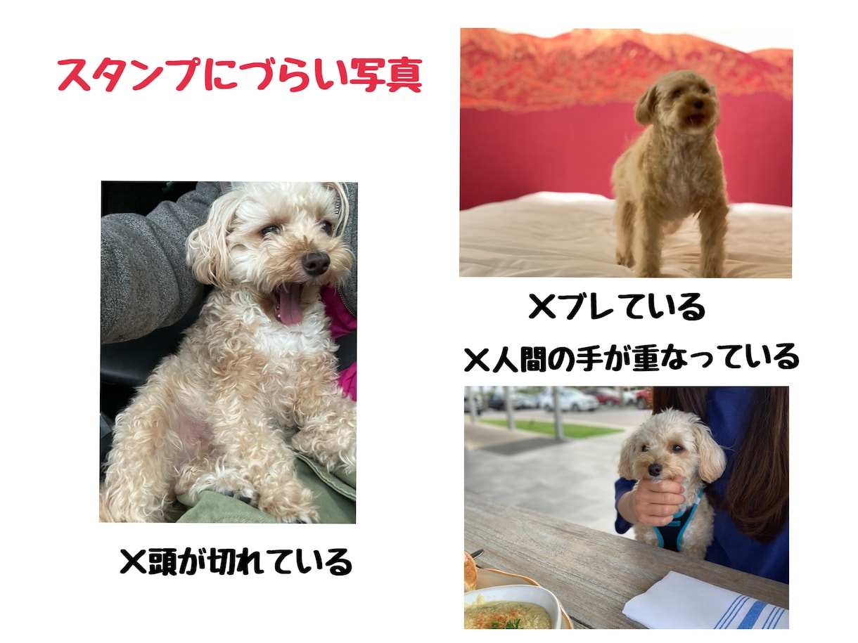 ８個〜お写真でLINEスタンプ作成します 日常のお写真を可愛くLINEスタンプにします♡ イメージ2