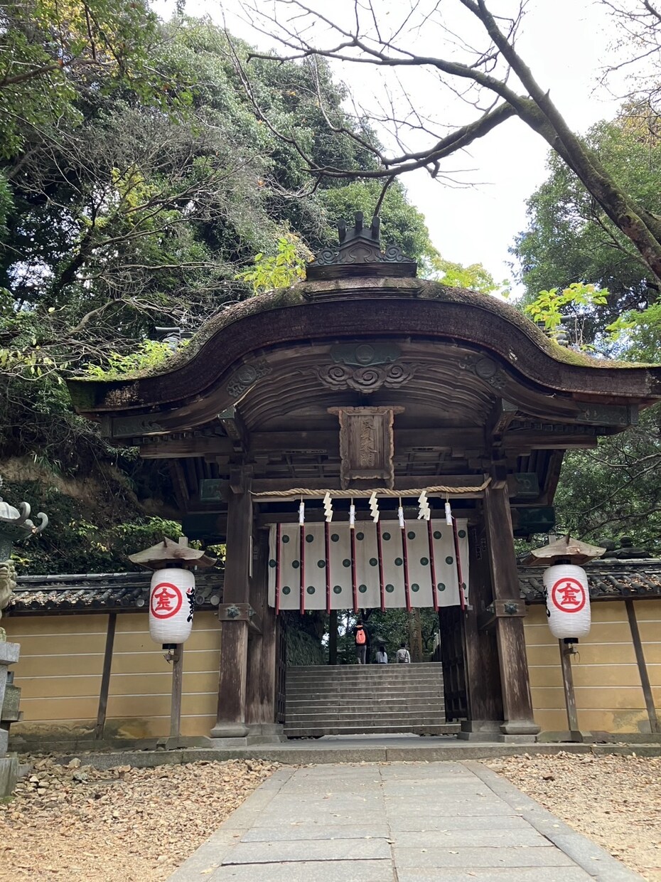 龍神のエネルギーであなたの恋愛を導きます 片思い・結婚・複雑恋愛について【龍神の言葉】から鑑定します。 イメージ7