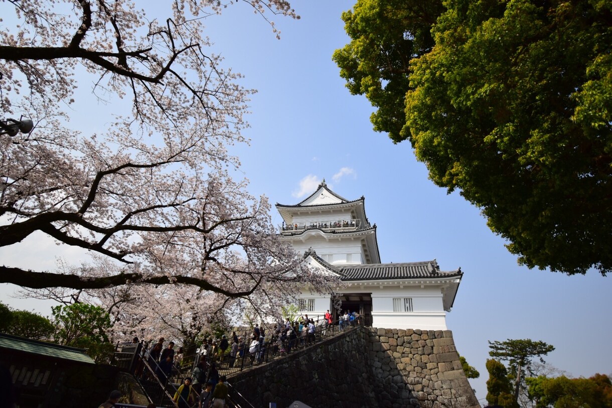 東京・神奈川の撮影承ります スマホで撮るより。。だけどカメラは持ってないそんなあなたに！ イメージ5