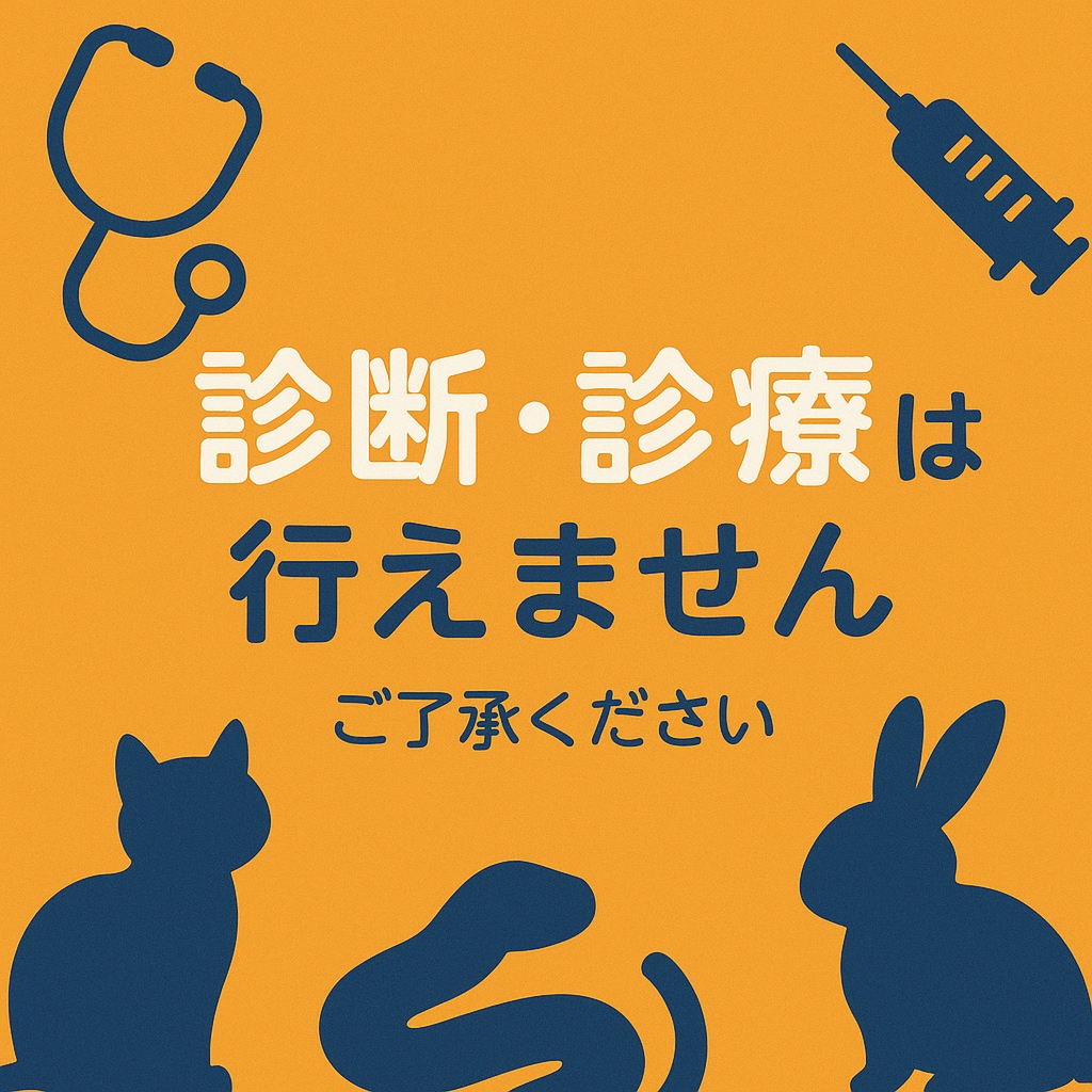 ペットの悩み相談「なんでも」お伺いします 動物病院でモヤモヤがあるあなたに”納得”をお届けします イメージ10