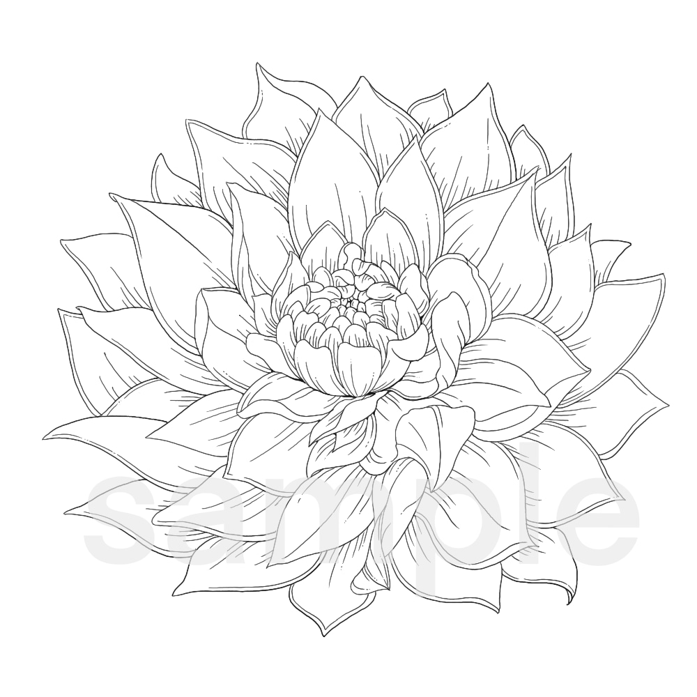 お花や葉っぱ、植物のイラスト優しいタッチで描きます ナチュラル〜リアルタッチのテイストでお花や植物をお描きします イメージ4