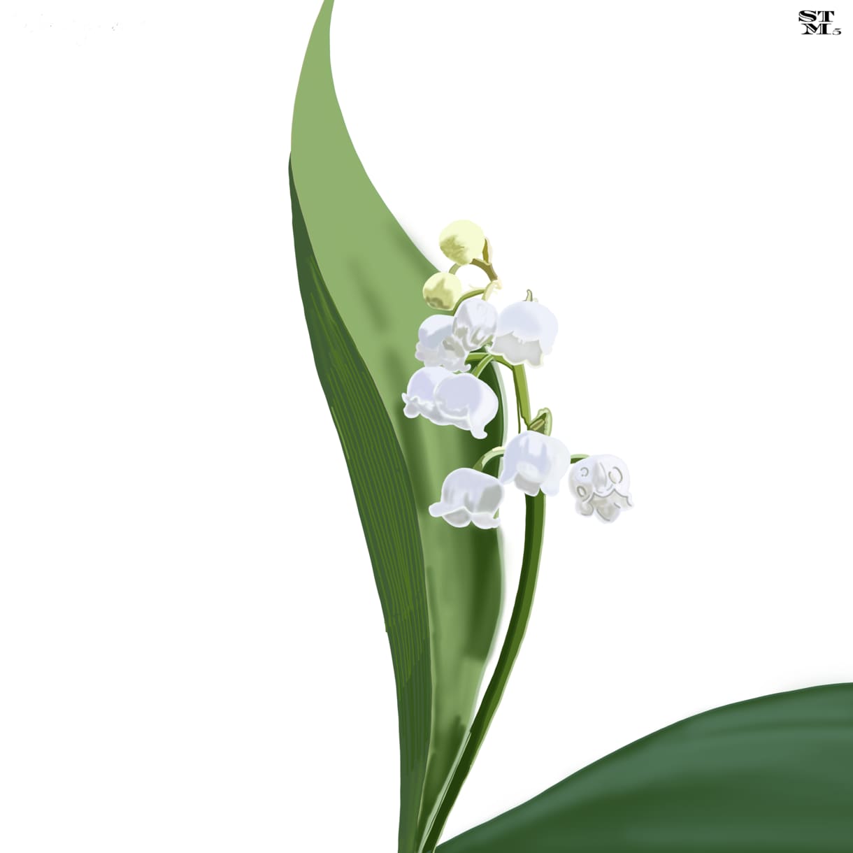 思い出の花などを忠実にイラストで描きます 植物(花)などを味わい深く、出来るだけ忠実に描きます！ イメージ8