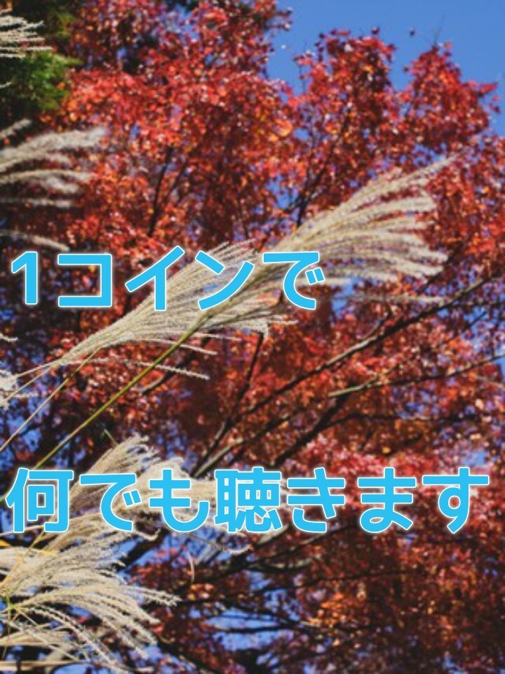 1コインで、夜ちょっと寂しいときにお話  聞きます 眠れない夜ってありませんか？ちょっと生身の話してみませんか? イメージ1