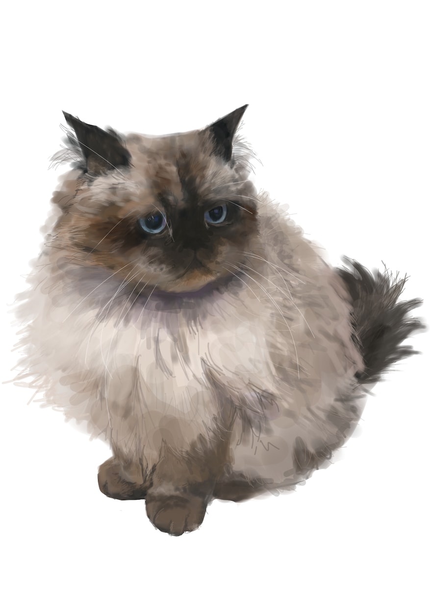 うちのこ描きます 猫ちゃん、わんちゃんを可愛くデジタルで描きます！ イメージ3