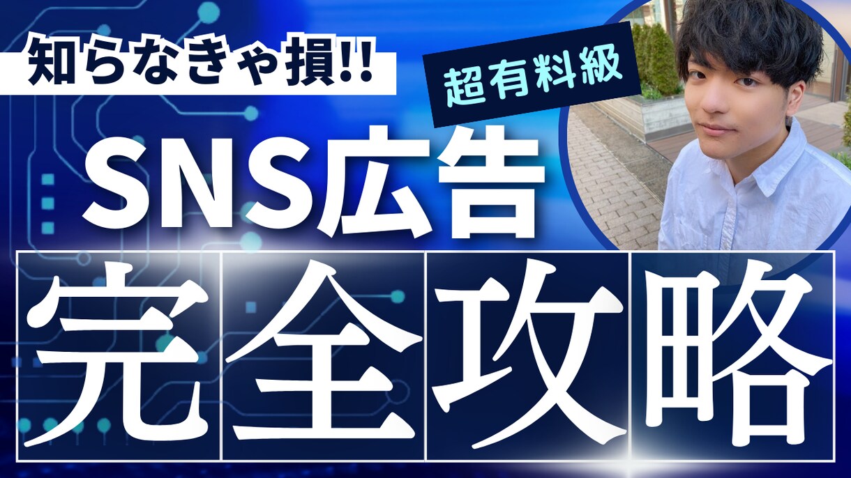 スポットコンサル/プロがSNS広告教えます プロの広告運用者がSNS広告の基礎から改善までコンサルします イメージ1