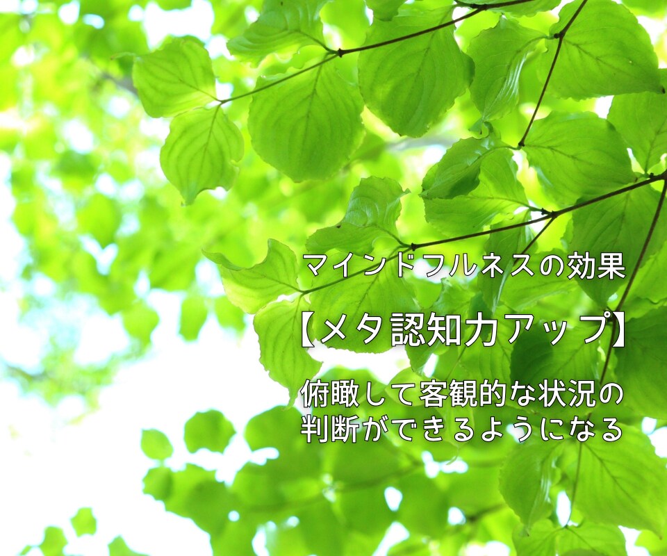 初心者向け❗️マインドフルネスの疑問にお応えします ✅ストレス解消｜頭の中スッキリ｜感情に振り回されない私になる イメージ2