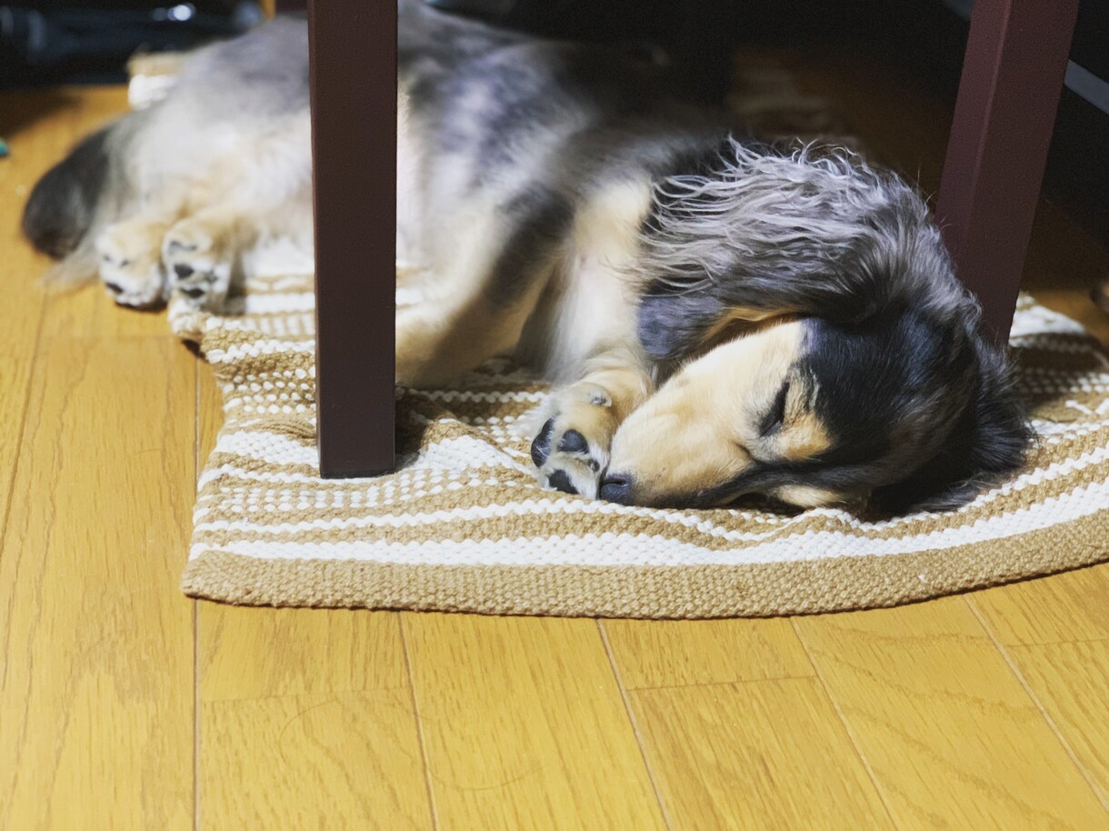 暇な時、不安な時、夢を語りたい時、お話聞きます お悩み相談から雑談、暇つぶしまで、何でも来い！です。 イメージ1