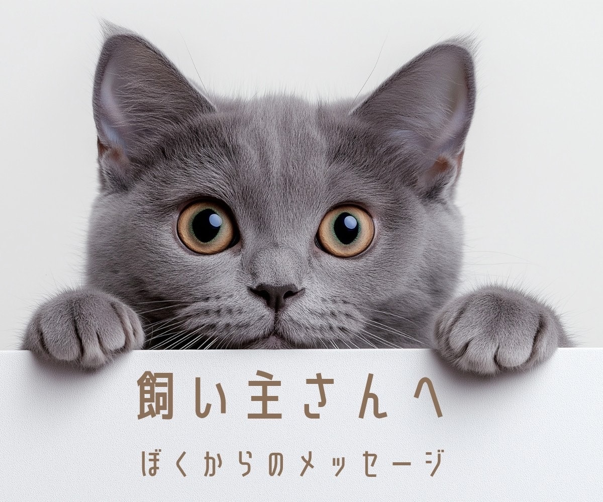 ペットからあなたへ…心のメッセージ伝えます |涙の先にある温もり　あの子が伝えたかったこと イメージ7