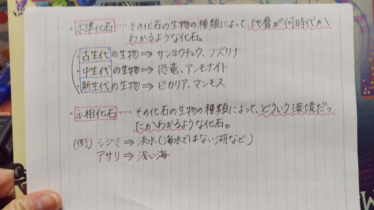 小中学生の5教科質問に対応します。 イメージ3